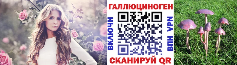 Галлюциногенные грибы мухоморы  Сунжа 