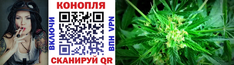 даркнет сайт Сунжа Канабис Amnesia